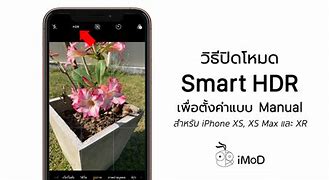 Image result for iPhone 15 Owner Manual