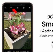 Image result for iPhone SE 2020 Owner's Manual