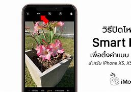 Image result for iPhone SE Manual for Beginners