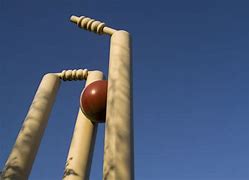 Image result for Cricket Stump and Bails Set