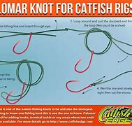 Image result for Parts of a Fish Hook