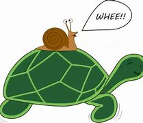 Image result for Wholesome Turtle Meme