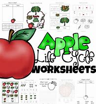 Image result for Apple Life Cycle Worksheet Free