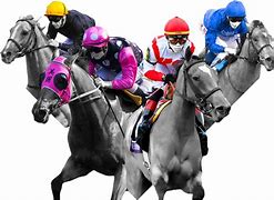 Image result for Horse Racing Colours Transparent