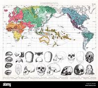 Image result for Skull Shape and Race