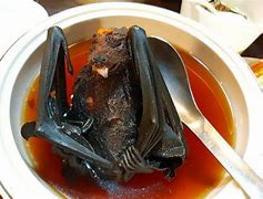 Image result for Strange Weird Food