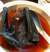 Image result for Bat Soup Pics