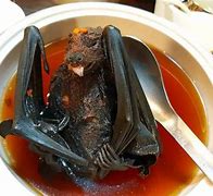 Image result for Bat Soup China