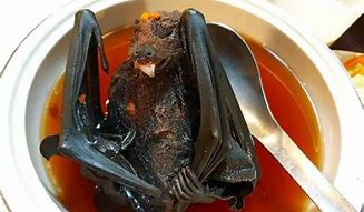 Image result for Bat Dishes