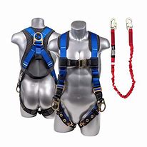 Image result for Safety Harness Kit
