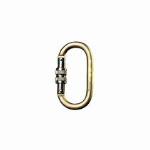 Image result for Screw Type Carabiner