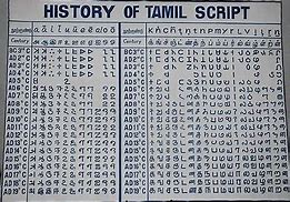 Image result for Tamil Script