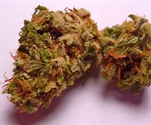 Image result for Stinky Cat Weed