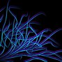 Image result for Crazy Neon Wallpapers