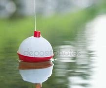 Image result for Fishing Bobber in Water