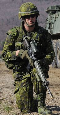 Image result for Canadian Armed Forces Uniforms