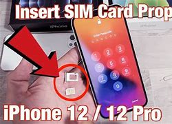 Image result for Apple iPhone 5S Sim Card