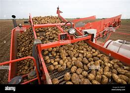 Image result for Lifting Bags of Potatoes