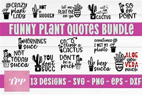 Image result for Funny Cactus SVG