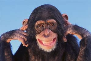 Image result for Ape Facki