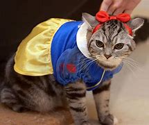 Image result for Muscular Cat Man Costume