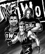 Image result for WWE Wrestling Match