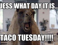 Image result for Taco Tuesday Office Space Meme