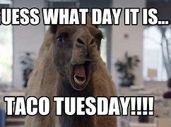 Image result for Happy Taco Tuesday Meme