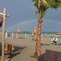 Image result for coccin�lido