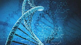 Image result for Human Genome Chart