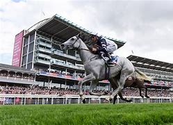Image result for York Horse Racing