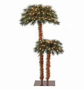 Image result for Lighted Christmas Palm Tree