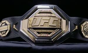 Image result for UFC World Champion Belt