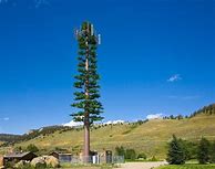 Image result for Stealth Cell Tower