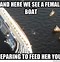 Image result for Boat Meme