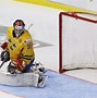 Image result for Pallas Finland Hockey