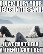Image result for Head in Sand Meme