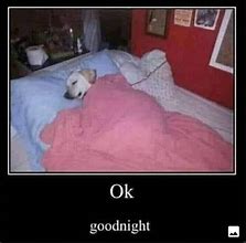 Image result for Ghost Good Night Meme