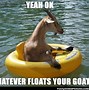 Image result for Moron On a Boat Meme