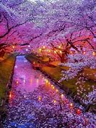 Image result for Sakura Japonia