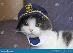 Image result for Funny Cat Police