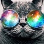 Image result for Trippy Cat Desktop Wallpaper