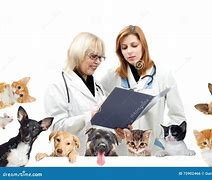 Image result for Dog and Cat Happy in Vet