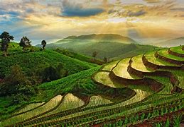 Image result for Mountain Terrace