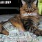 Image result for Cat Flexing Money Meme