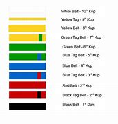 Image result for Taekwondo Color Belt Order