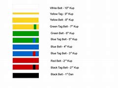 Image result for Taekwondo Belt Color Meanings