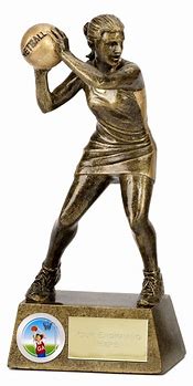 Image result for Netball Trophies