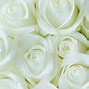 Image result for HD White Floral Background
