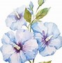 Image result for Flower Vector Illustration